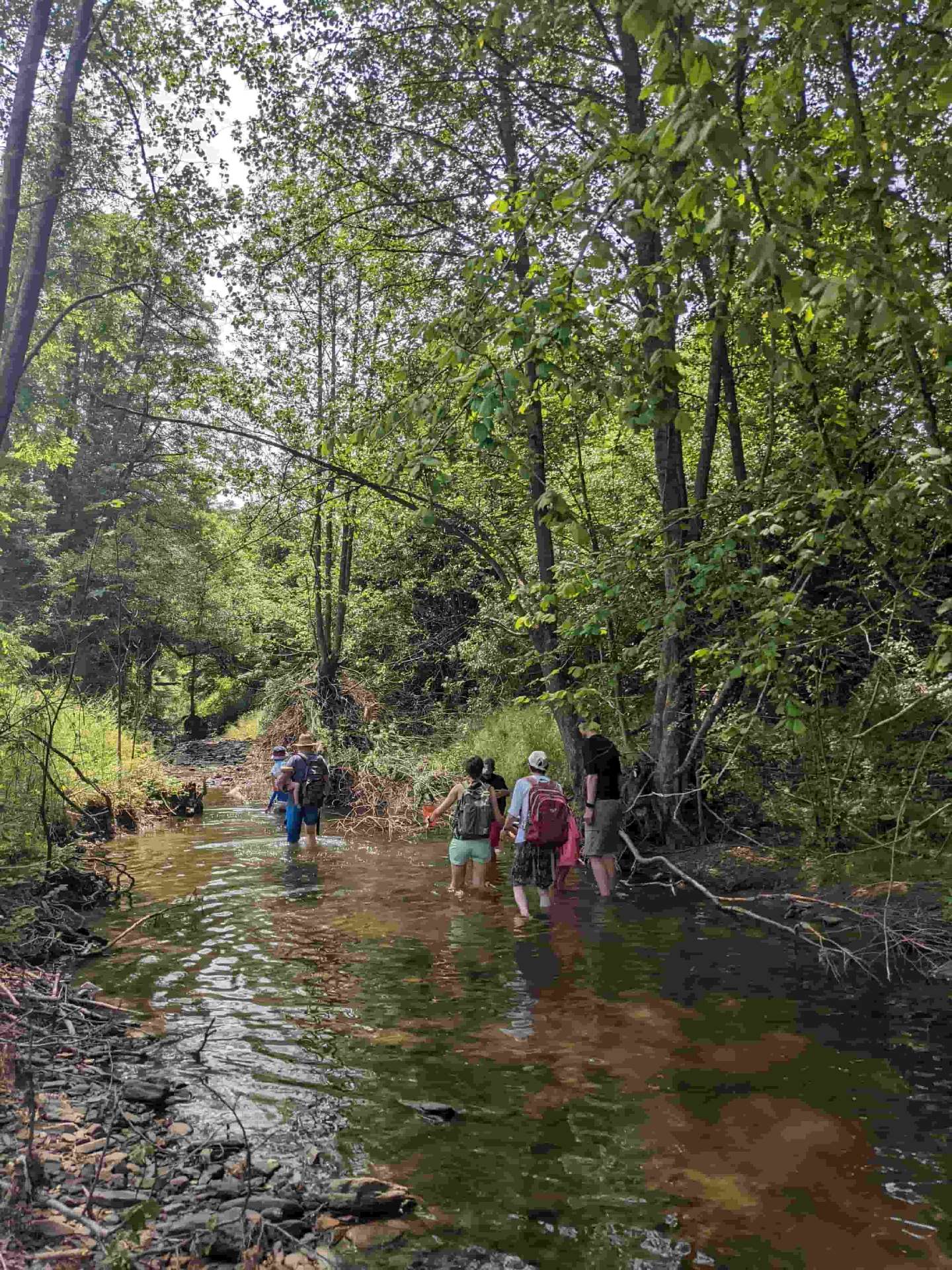 Bachwanderung mit Familie