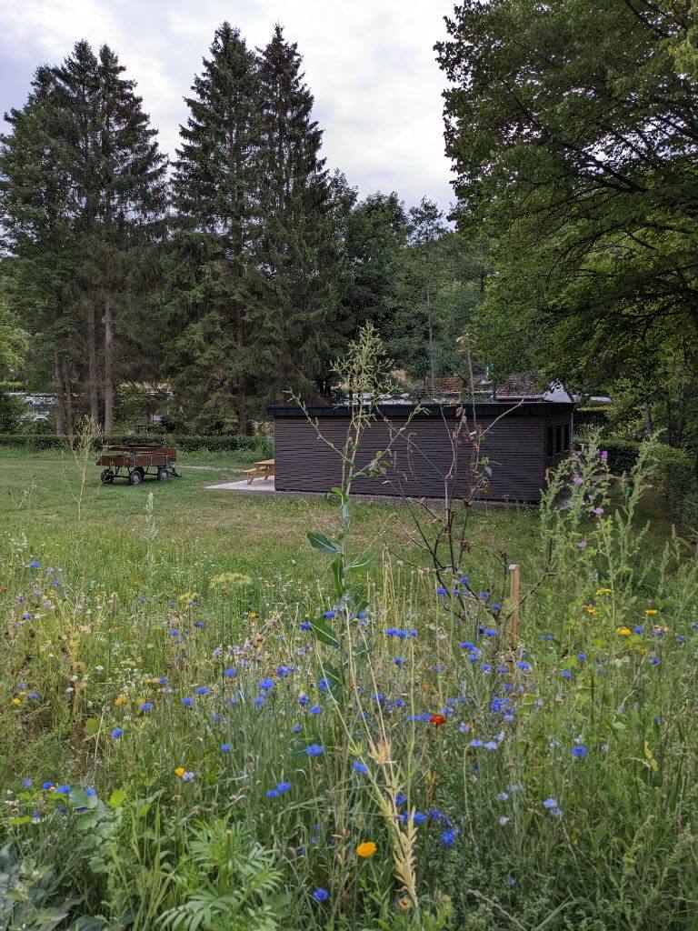Blumenwiese beim Sanitärgebäude