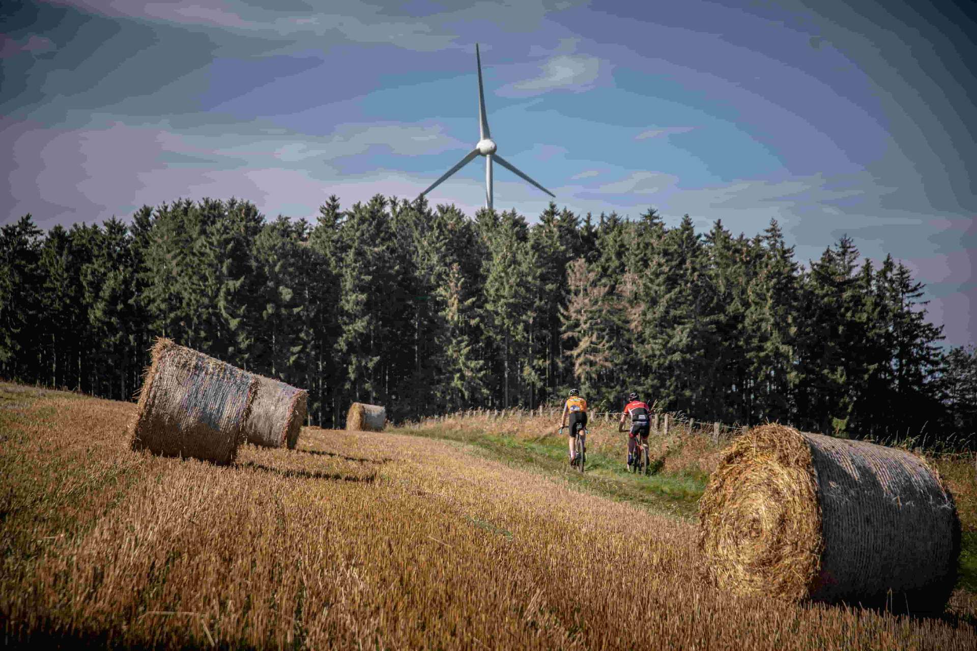 Gravel-Tour durch Felder