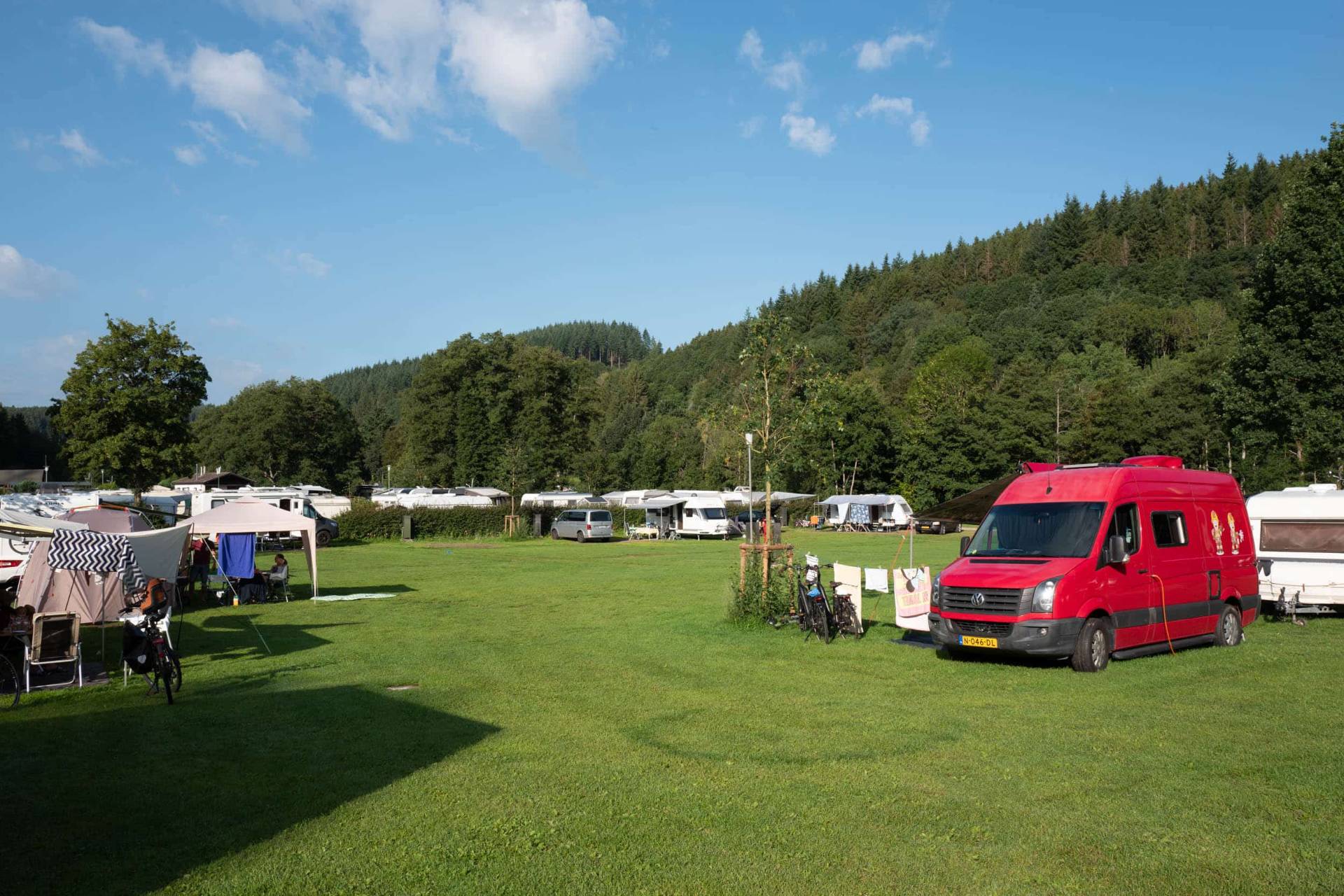 Roter Van auf der Wiese