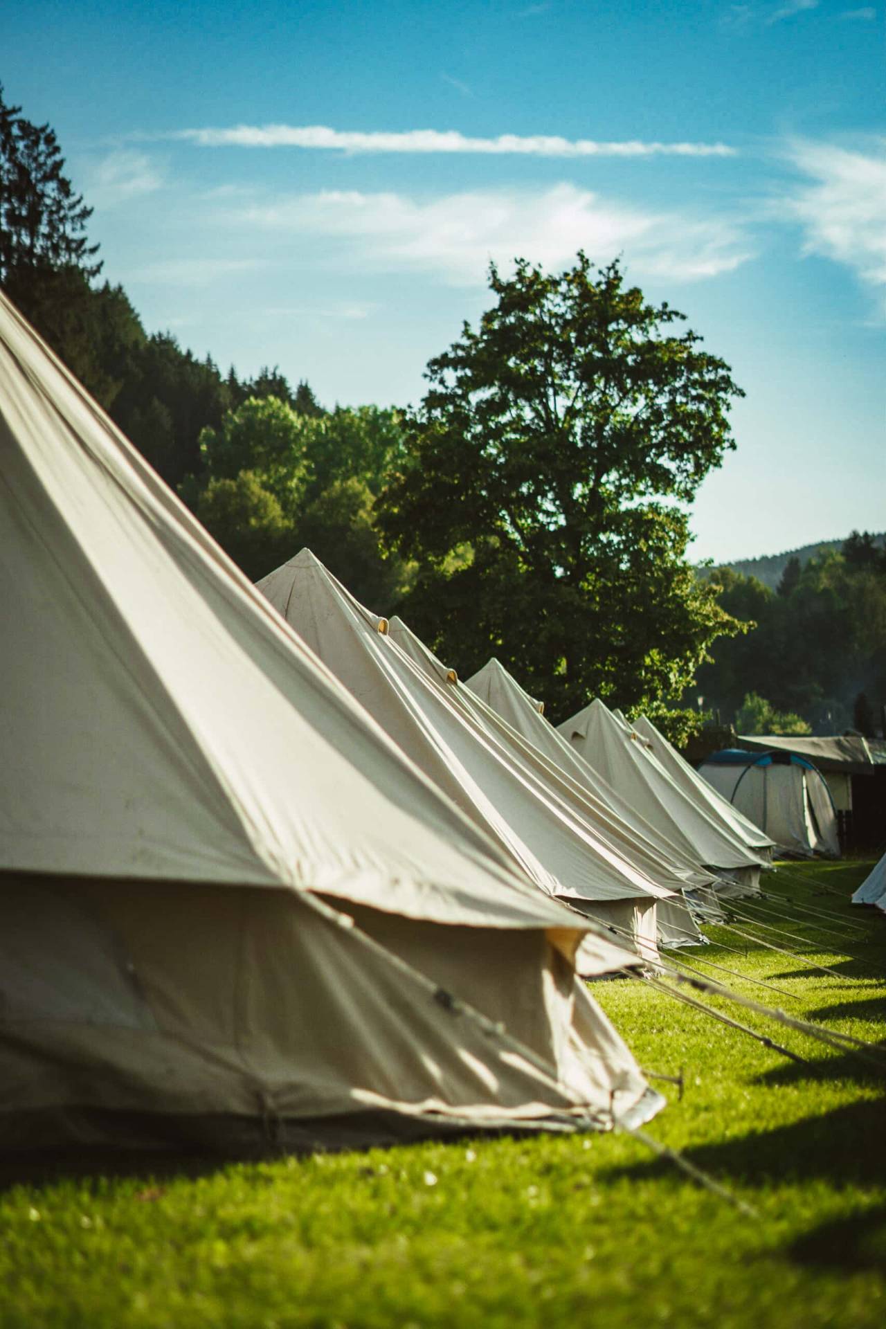 Tipizelte im Sonnenlicht