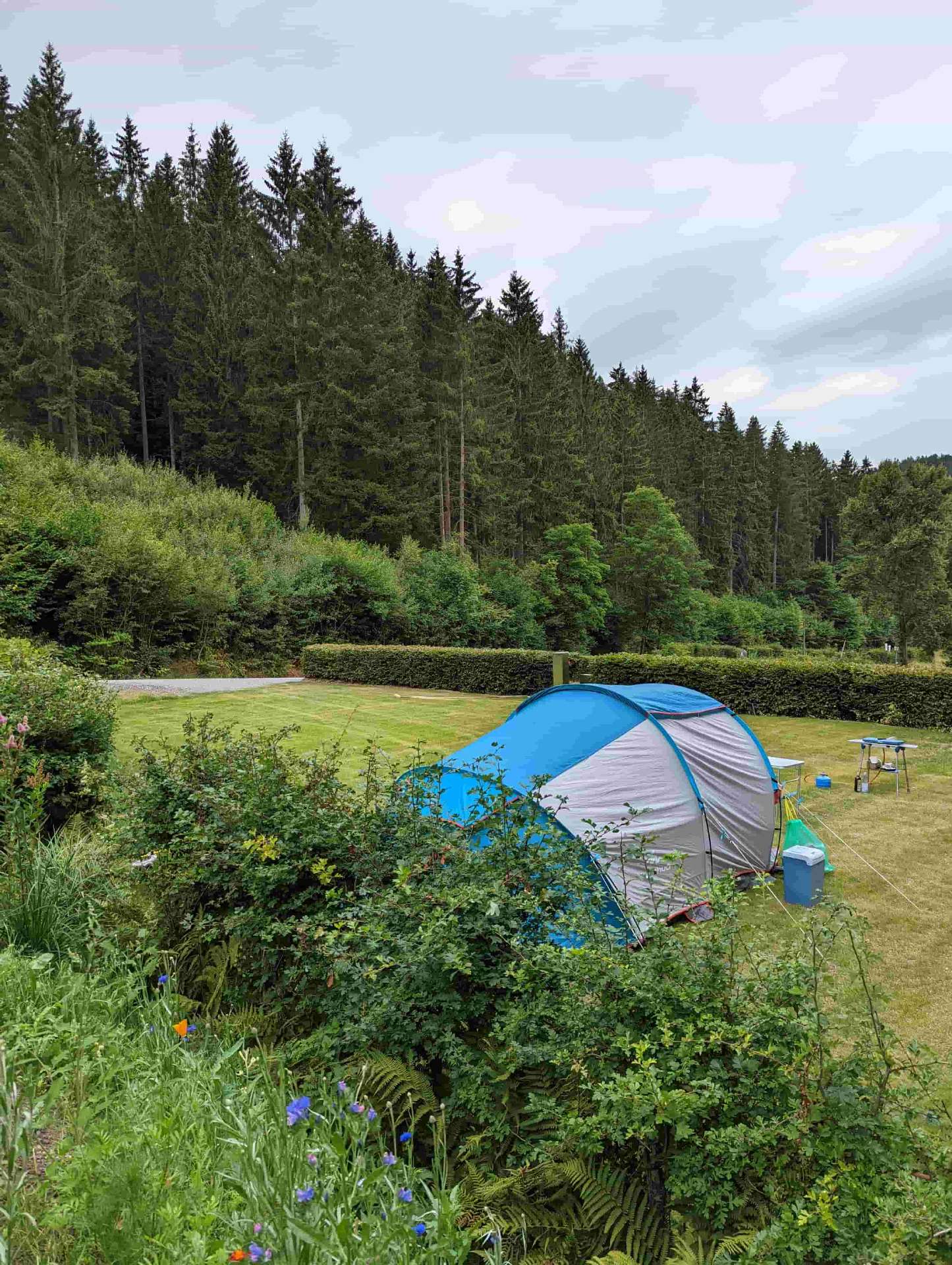 Zelt auf der Waldlichtung