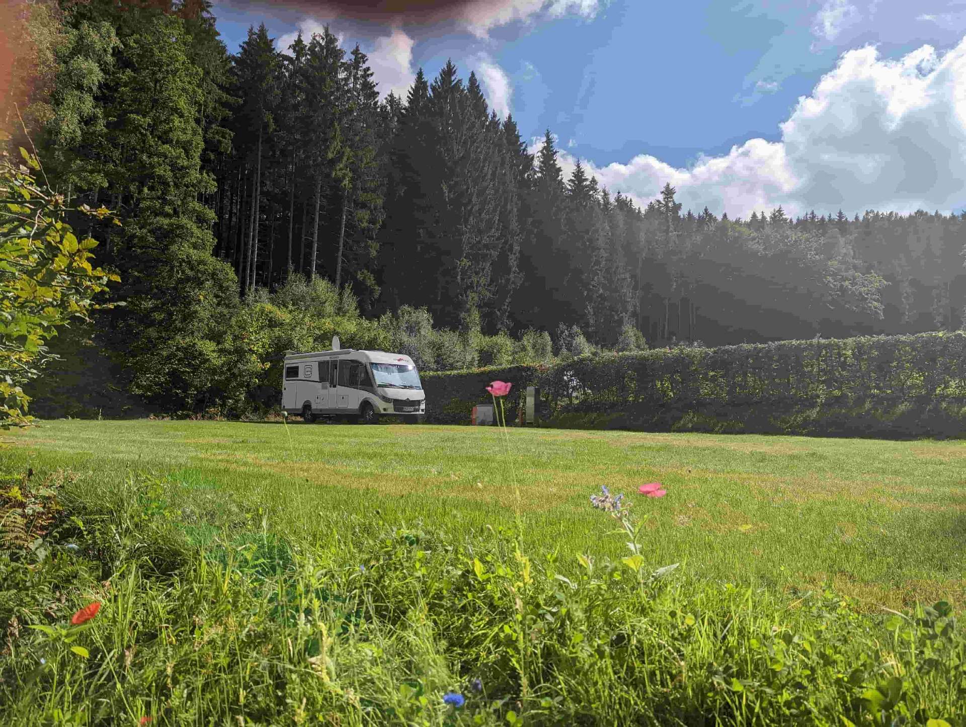 Wohnmobil mit Blumenwiese