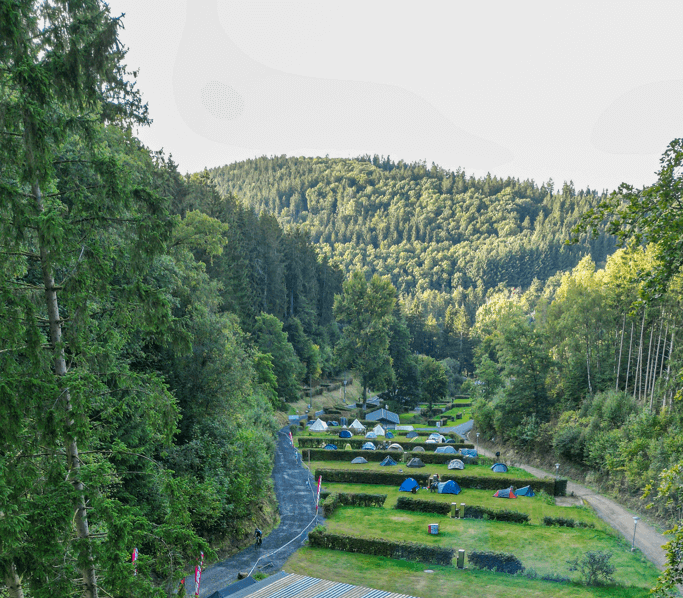 Panorama der Waldlichtung