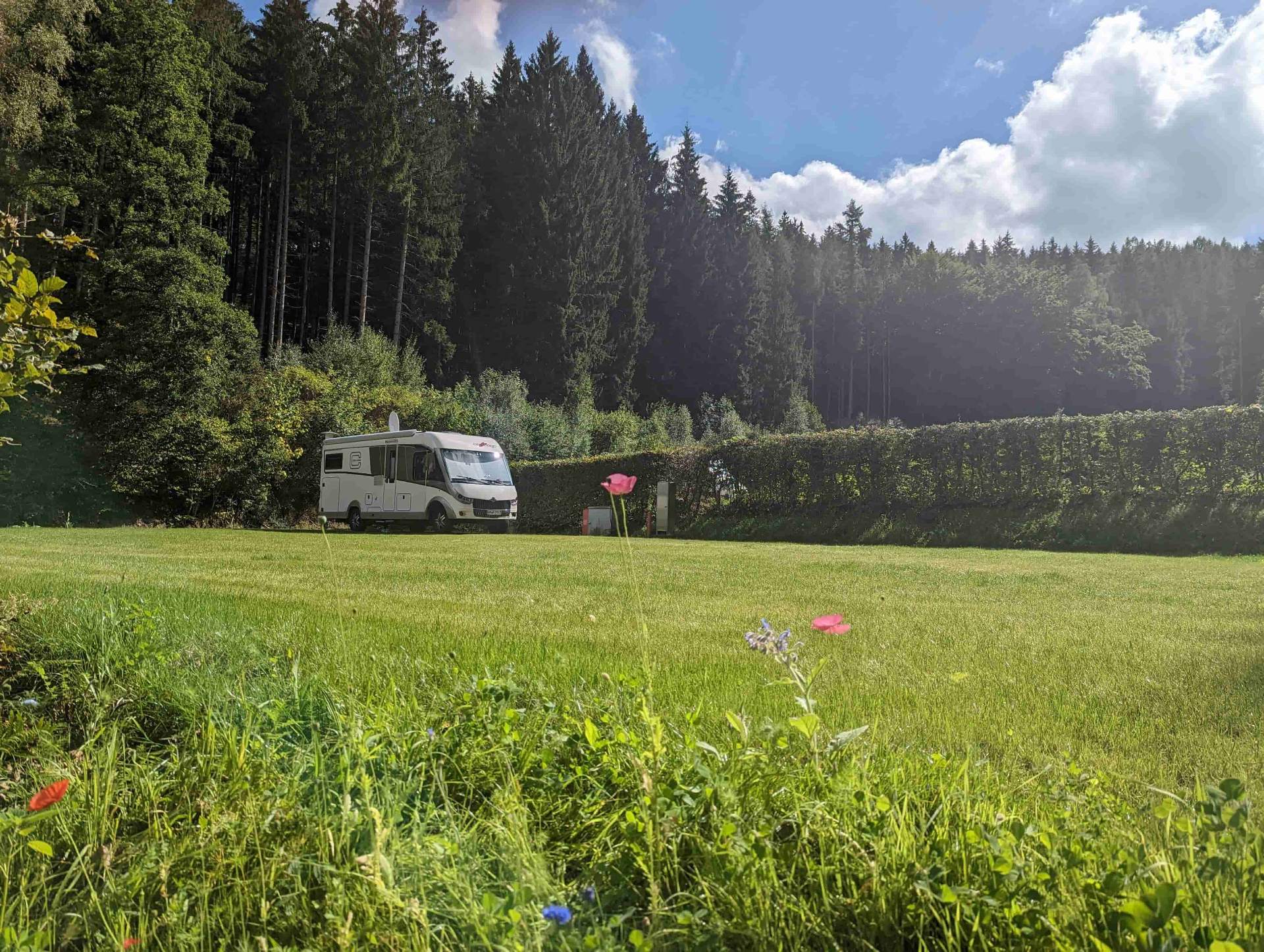 Waldlichtung Stellplätze